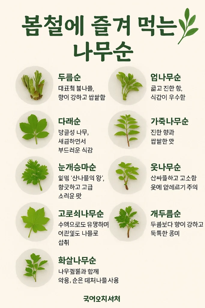 봄나물